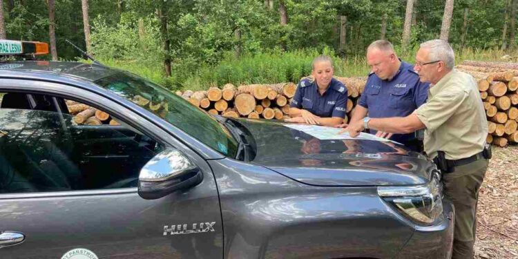 Powiat kozienicki: Ścigają leśnych przestępców