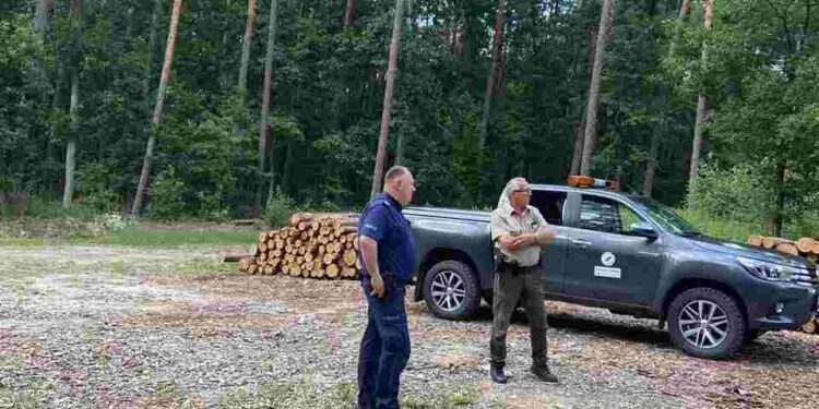 Powiat kozienicki: Ścigają leśnych przestępców
