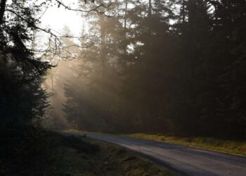 Region radomski: Szlak Jakubowy zaprasza!