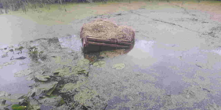 Powiat białobrzeski: Zatopiona zagadka