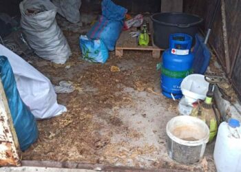 Przewoził prawie 500 kg nielegalnego tytoniu