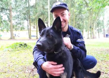 Rewers poszedł do szkoły