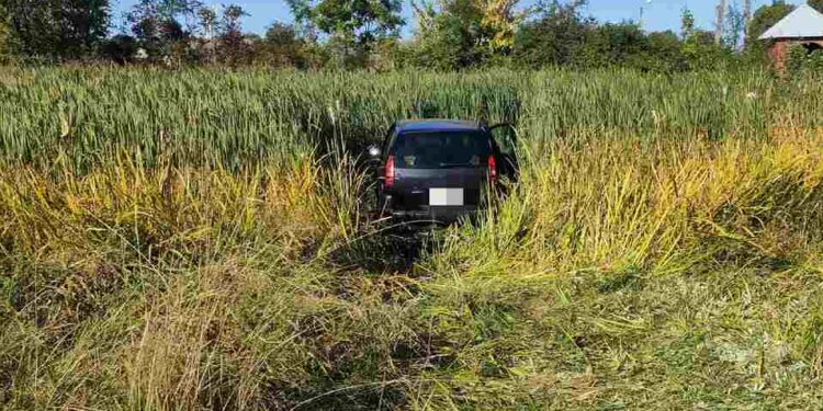 Powiat szydłowiecki: Auto w sadzawce [Zdjęcia]