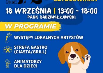 Powiat szydłowiecki: Piknik na pomoc zwierzakom