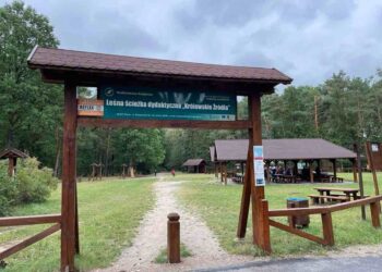 Region radomski: Koniec remontu na „Królewskich Źródłach”