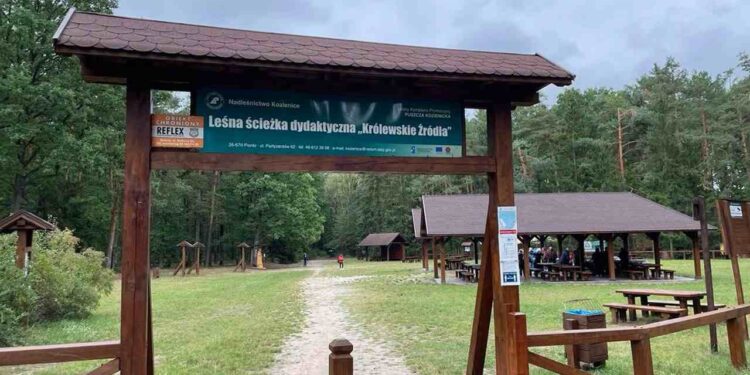 Region radomski: Koniec remontu na „Królewskich Źródłach”