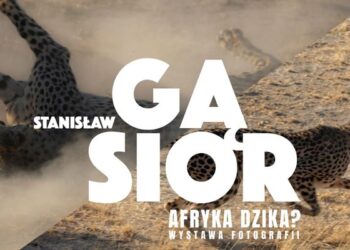 Radom: Czarny ląd w obiektywie