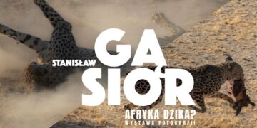 Radom: Czarny ląd w obiektywie