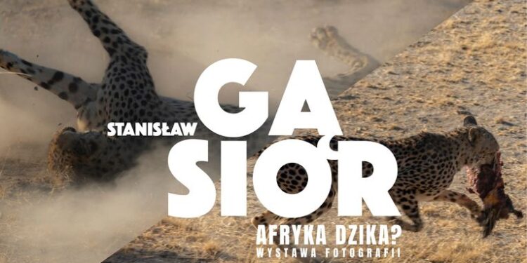 Radom: Czarny ląd w obiektywie