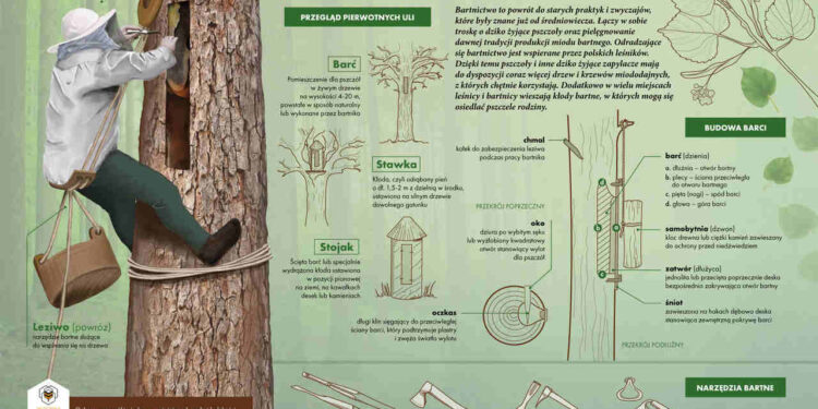 Radomskie: Barć, dzienia, piesznia, skobliczka…