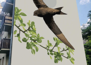 Radom: Jerzyk ma swój mural!