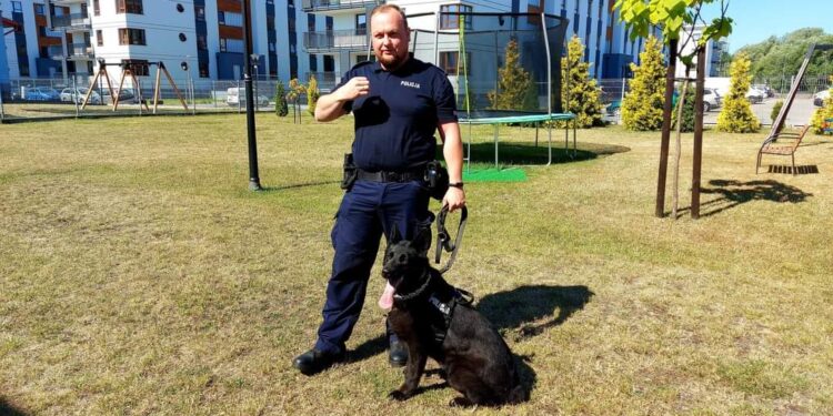 Radom: Katoda wytropiła włamywacza