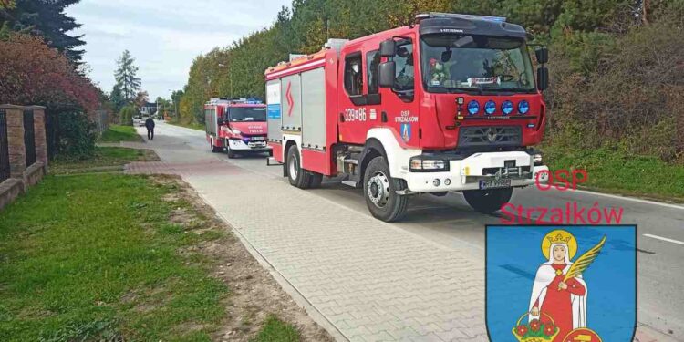 Radomskie: Samochód spadł na mężczyznę