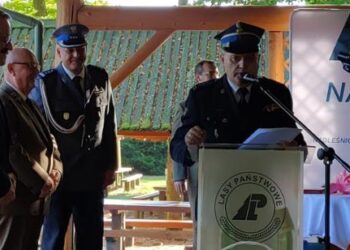 Radomskie: Leśny jubileusz