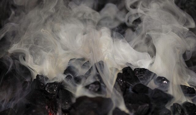 Radom: Miasto będzie dystrybuować węgiel