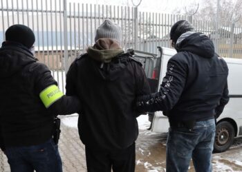 „Oczytany” przestępca wytropiony przez radomskich „poszukiwaczy”