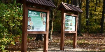 Radomskie: Leśnicy zapraszają na nową ścieżkę