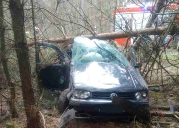 Powiat lipski: Wystrzeliła opona – ranny kierowca