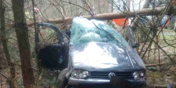 Powiat lipski: Wystrzeliła opona – ranny kierowca