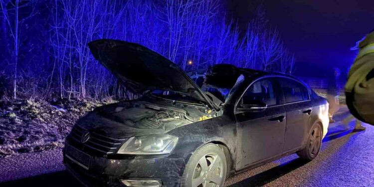 Powiat radomski: Zderzenie osobówki z łosiem