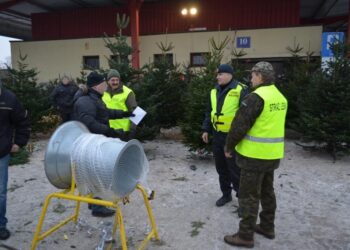 Radomskie: Walka z leśnymi kradzieżami