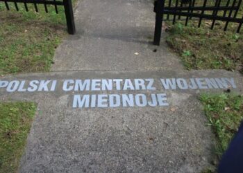 Radom: Żołnierz i policjant