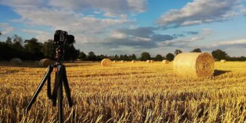 Radom: Zdjęcia roku 2022