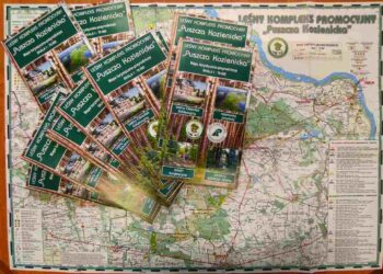 Region radomski: Czas na leśne eksploracje!