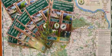Region radomski: Czas na leśne eksploracje!