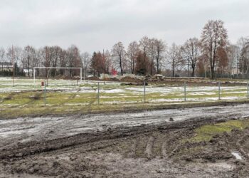 Powiat przysuski: Biegi, rzuty i skoki