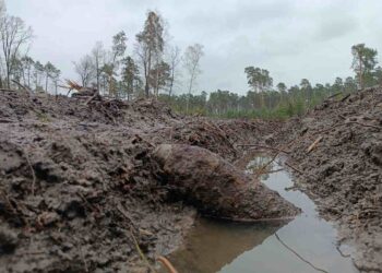 Region radomski: Niewybuch w przytyckim lesie