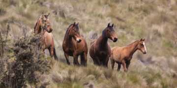 Z kraju: Wstępy 2023