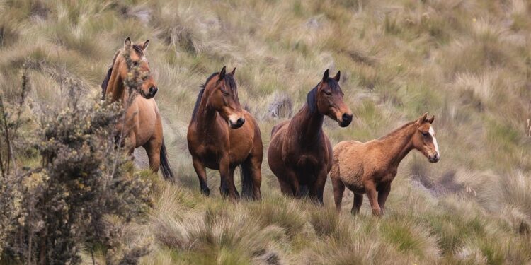 Z kraju: Wstępy 2023