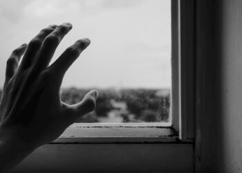 Radom / Region radomski: Kończy się Tydzień Pomocy Osobom Pokrzywdzonym Przestępstwem w Radomiu i regionie radomskim