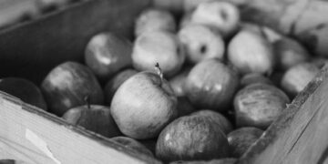 Powiat grójecki: Tragedia w gminie Warka – zginęło małżeństwo sadowników