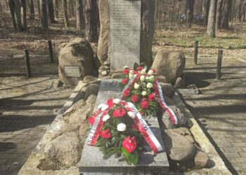 Powiat kozienicki: W hołdzie partyzantom