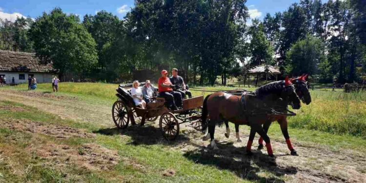 Radom: Konna majówka w skansenie! 