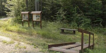 Radomskie: Uwaga! Remont przy leśnej atrakcji regionu!