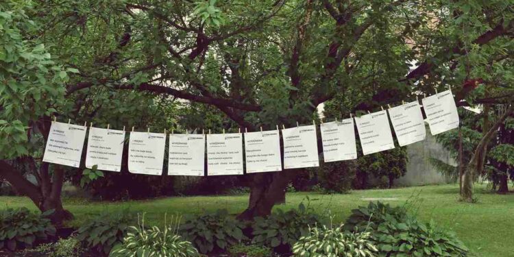 Radom: Haiku o wolności – kolejna edycja konkursu