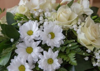 Powiat radomski: “Trzy dęby”