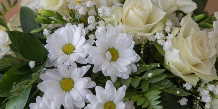 Powiat radomski: “Trzy dęby”