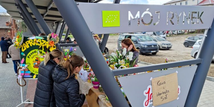 Powiat grójecki: „Mój rynek”