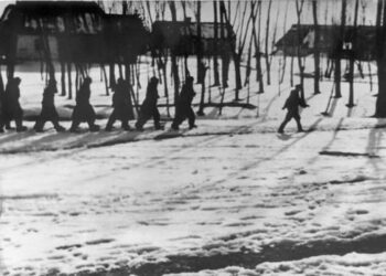 Powiat przysuski: Pamięć partyzancka