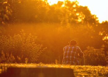 Region radomski: Oszukany przez pracodawcę