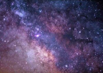 Radom: Pędzlem i komputerem