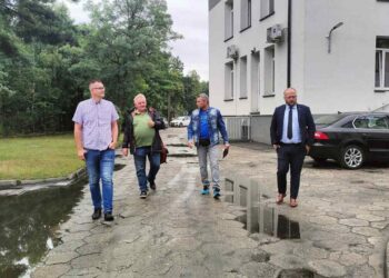 Powiat białobrzeski: Parkingi, drzewa i krzewy