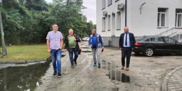 Powiat białobrzeski: Parkingi, drzewa i krzewy