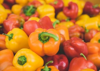 Powiat przysuski: Chciał ukraść 300 kg papryki – wpadł też jego znajomy