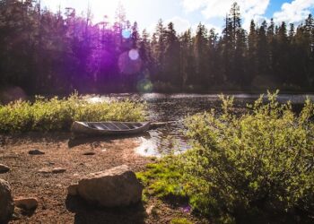 Powiat lipski: Utonął uczestnik spływu kajakowego po Wiśle