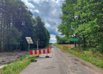 Powiat radomski: Ruch wahadłowy